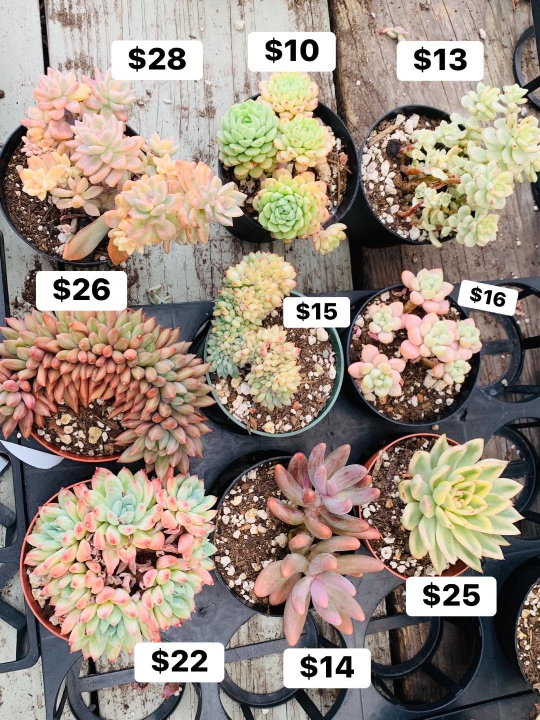 $10 到 $28 混合价格盘